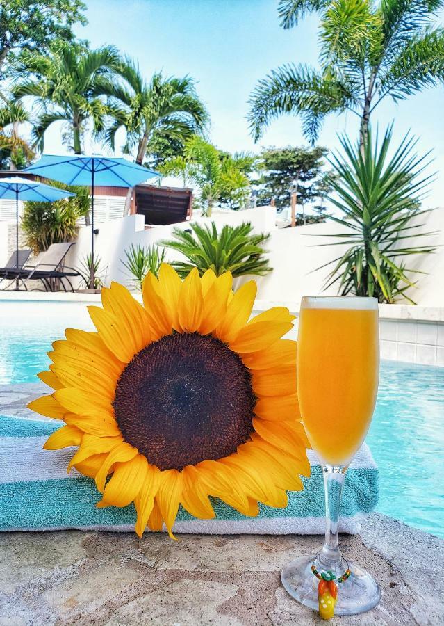 Casa Verde Hotel Rincón Extérieur photo